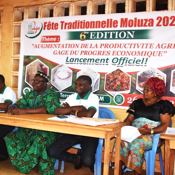 Moluza à Mission-Tové