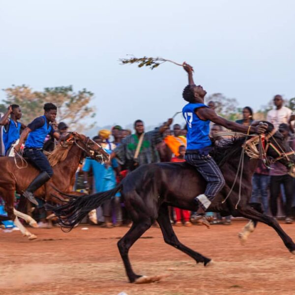 TOGO : Succès total de la 1ère édition de la course des chevaux (FESTICS)